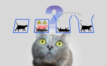 El Gato de Schrödinger: ¿Vivo o muerto?