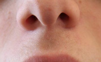 ¿Biología: función o potencial?